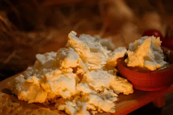 Yağlı Lor Peyniri 1 kg