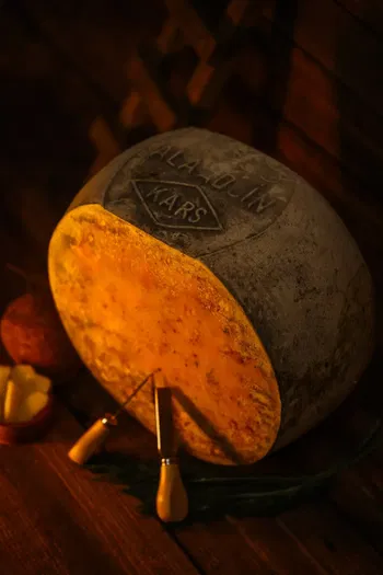 12 Ay D. Eski kaşar  (11.50/12 KG Arası)
