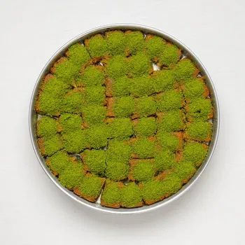 Tek Tek Kadayıf Tepsi (3,6 KİLO) Resim