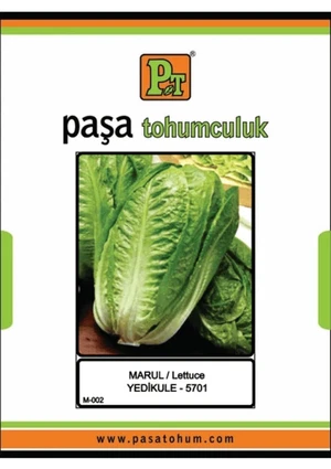 PAŞA MARUL YEDİKULE 10 GR - Görsel 1