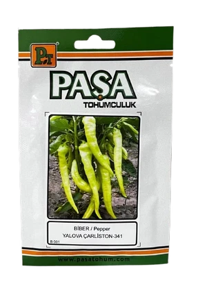 PAŞA YALOVA ÇARLİSTON 10 GR - Görsel 1