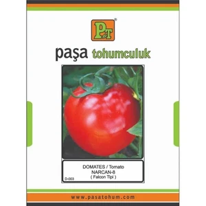 PAŞA DOMATES NARCAN (FALCON TİPİ) 10 GR - Görsel 1