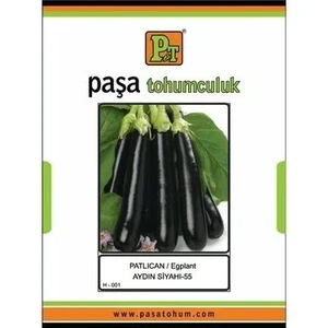 PAŞA PATLICAN AYDIN SİYAHI 10 GR - Görsel 1
