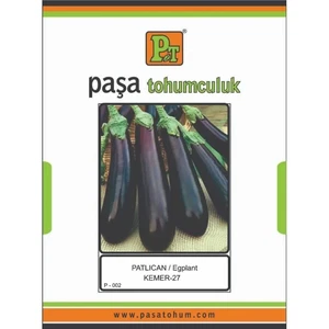 PAŞA PATLICAN KEMER 25 GR - Görsel 1