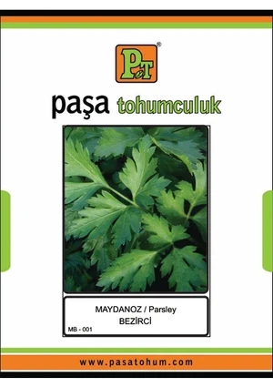 PAŞA MAYDANOZ 25 GR - Görsel 1