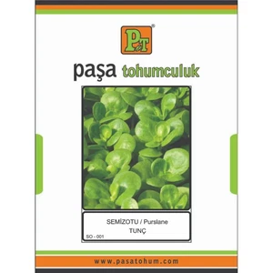 PAŞA SEMİZOTU 10 GR - Görsel 1