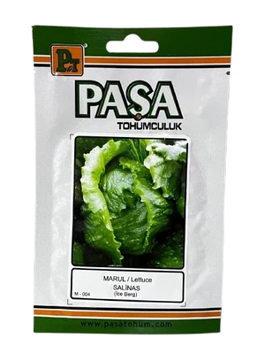 PAŞA GÖBEK MARUL 5 GR-SALİNAS - Görsel 1