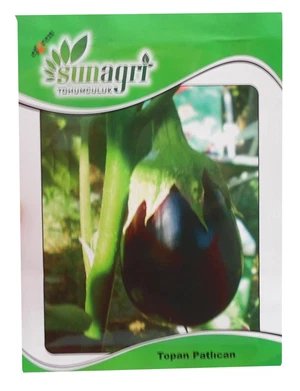 SUNAGRİ TOPAN PATLICAN 10 GR - Görsel 1