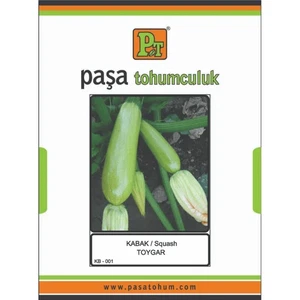 PAŞA KABAK-TOYGAR 25 GR - Görsel 1