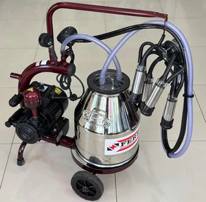 FERRİNO KURU TEK SAĞIM C30 KROM GÜĞÜM SABİT - Görsel 1