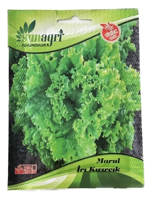 SUNAGRİ MARUL İRİ KIVIRCIK 25 GR - Görsel 1
