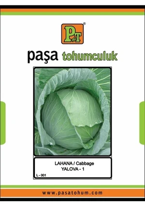 PAŞA LAHANA YALOVA-DÜRÜM 5 GR - Görsel 1