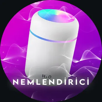 NEMLENDİRİCİ MODELLERİ