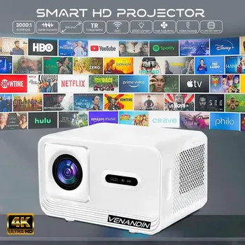 R11 PROJECTOR