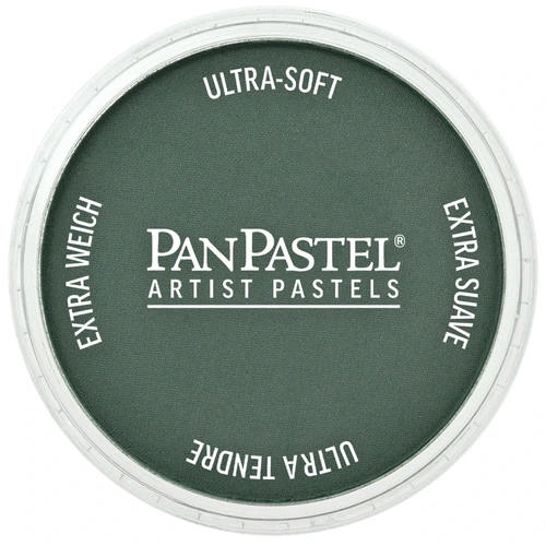 PanPastel Artist Pastel Boya 620.1 Phthalo Green Extra Dark - Görsel 1
