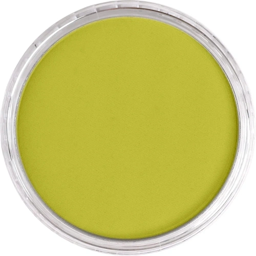 PanPastel Artist Pastel Boya 220.3 Hansa Yellow Shade - Görsel 4