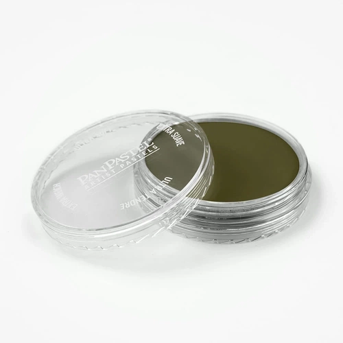 PanPastel Artist Pastel Boya 220.1 Hansa Yellow Extra Dark - Görsel 2
