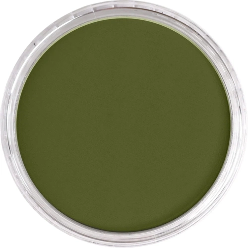 PanPastel Artist Pastel Boya 220.1 Hansa Yellow Extra Dark - Görsel 4