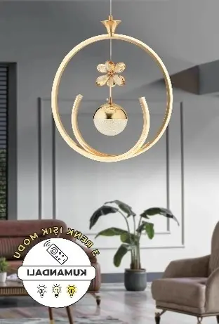 ANKA LEDLİ (DL-02) ÇİN SARISI