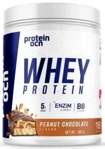 Protein Tozları